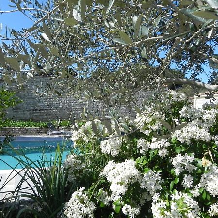 Villa Del Re 3 Face A La Piscine La Flotte Dış mekan fotoğraf